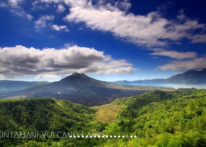 リゾート North Bali Beachfront Sanctuary - Wuwei