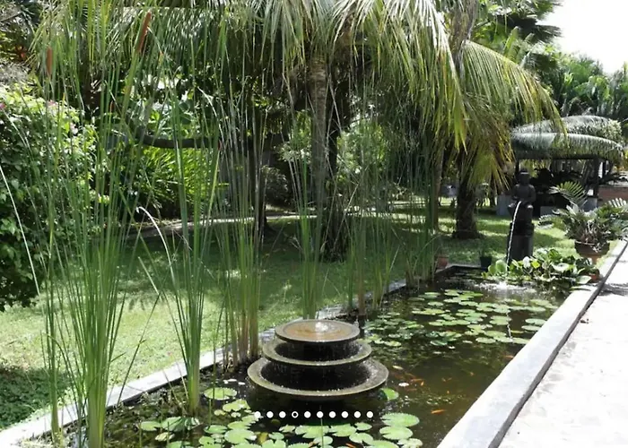 リゾート North Bali Beachfront Sanctuary - Wuwei Tegallengah