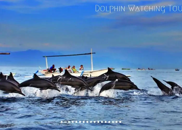 North Bali Beachfront Sanctuary - Wuwei *