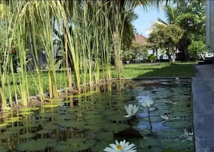 North Bali Beachfront Sanctuary - Wuwei * Tegallengah
