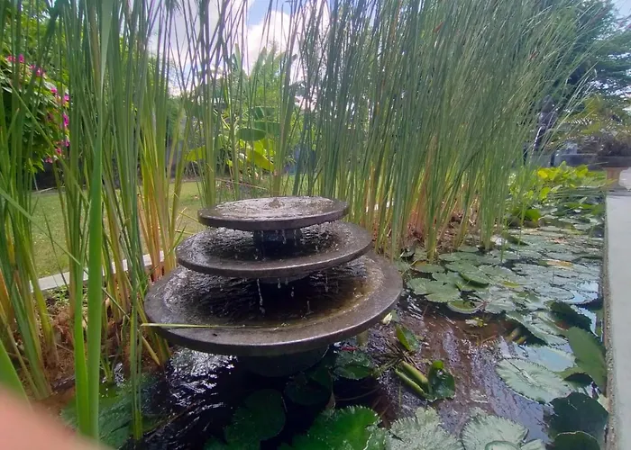 North Bali Beachfront Sanctuary - Wuwei リゾート *